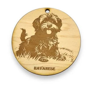 Ornament - Havanese Dog Raw Wood - Picture 1 of 6