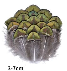 10pcs Natural Green 3-7cm Peacock Plumage Feathers DIY Art Craft Fly Fishing - Picture 1 of 3