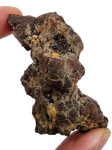Prähistorischer Schildkrötenmist Coprolit fossiler Koop 64,2 Gramm - Bild 1 von 2
