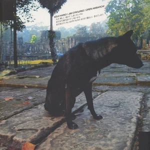 Keiji Haino / Jim O'Rourke / Oren Ambarchi - ただ美しく溶けてしまい? - Picture 1 of 2