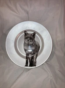 Pier 1 ~ Winter Snow Forest Fox 8.5" Salad Plate (Satin Porcelain), 1 Plate - Picture 1 of 6