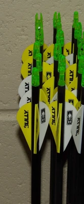 Nuevo 12 Flechas Easton Axis SPT 300 Columna 5mm - 10.7 GPI - con 50 gr de Acero Inoxidable Foto 1 de 4