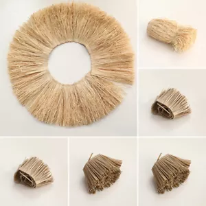 Jute Fringe Trim Background Wall Decoration Straw Tassels Lafite Grass Garland U - Picture 1 of 22