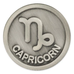 PinMart's Antique Silver Capricorn Zodiac Goat Symbol Lapel Pin - Picture 1 of 3