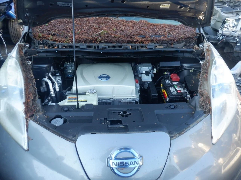 Espejo retrovisor derecho usado se adapta a: Nissan Leaf 2015 eléctrico térmico con cámara grado derecho Foto 1 de 4