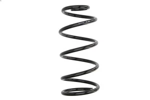 Fahrwerksfeder MAGNUM TECHNOLOGY SG192MT für FORD C-MAX (DM2) 2 2007-201 - Bild 1 von 6
