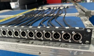 Custom 16 Kanal 1HE Rack Mount XLR Output Patch Bay - with 16 XLR input Tails - Bild 1 von 9