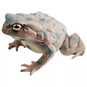 Toad Toy Figure Realistic Toy Frogs for Kids Frog Figurines Cute Frog Statue - Picture 1 of 12