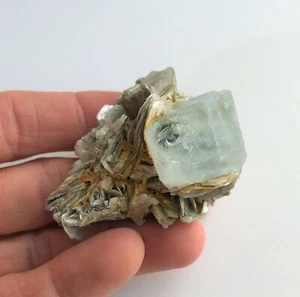 312 Aquamarine Beryl Crystal On Muscovite Matrix Shigar Pakistan - Picture 1 of 11