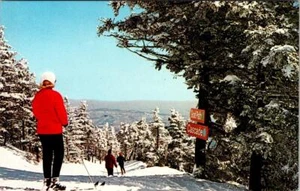 Killington, VT Vermont SKIGEBIET Skifahrer ~ Ziegenweg Abfahrt ca 1950er Skifahren Postkarte - Bild 1 von 2