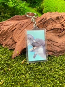 Delfin Delphin Säugetier 3D Schlüsselanhänger aus Acryl Glücksbringer grau - Picture 1 of 5