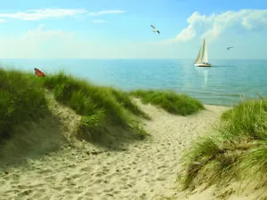 CANVAS Afternoon Dune by Alan Giana 12x16 Coastal Beach Reproduction - Picture 1 of 4