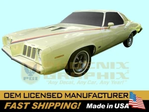 1973 1974 Pontiac Grand Am Decals & Stripes Kit - Picture 1 of 1
