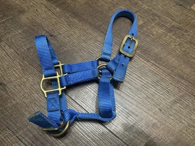Horse Tack - Potro o mini soporte de nailon azul Foto 1 de 4