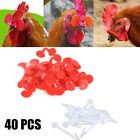 Enhance Chicken Survival Rate With No Pin Bolt Chicken Glasses (40Pcs)