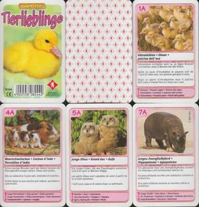 Berliner Spielkarten "Tierlieblinge" 2002 (S, Quartett-Nr. 082442) Z 0- - Bild 1 von 1