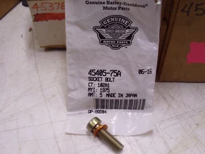 NOS OEM Harley-Davidson, Damper Tube Screw & Washer, P/N 45405-75A!# - Picture 1 of 12