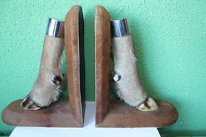 2 PATAS DE CIERVO - AUTÉNTICAS Y DISECADAS - Imagen 1 de 12