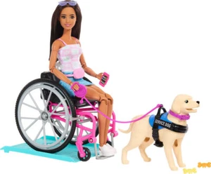Barbie Doll & Service Dog Playset with Wheelchair, Ramp & Accessories, Fashion D - Picture 1 of 6