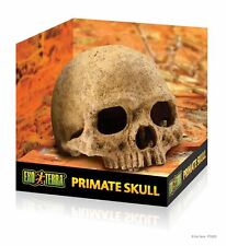 Exo Terra Primate Skull Small