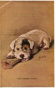 Puppy with Bone I'VE LANDED LUCKY! signed MAC Vintage 1936 Postcard - Picture 1 of 2