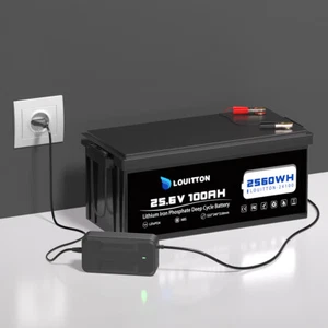 12V / 24V 100Ah 200Ah 300Ah LiFePO4 Bateria litowa BMS do kampera Solar - Zdjęcie 1 z 155