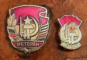 SOVIET UNION RUSSIA 2 VETERAN WW2 BADGE WWII DIFFERENT SIZES WAR VICTORY GERMANY - Picture 1 of 3