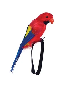 Piuma da polso compagno pirata pappagallo tropicale uccellino giocattolo accessorio festa - Foto 1 di 2