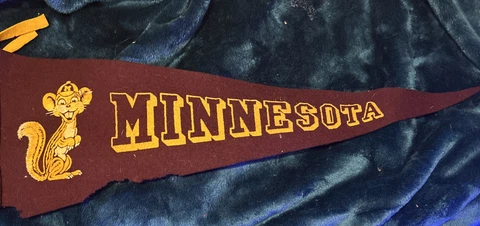 1950's Minnesota Golden Gophers University Pennant 11x29 Big Ten Cover