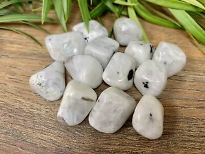 1/2 Pfund Regenbogen Mondstein Trommelsteine Kristall Therapie Edelstein Präparat Reiki - Bild 1 von 8