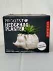 Kikkerland Prickles The Hedgehog Planter Porcelain For Succulents Tiny Plant