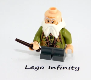 LEGO Professor Filius Flitwick Minifigure Harry Potter Hogwarts Class 76385 - Picture 1 of 3
