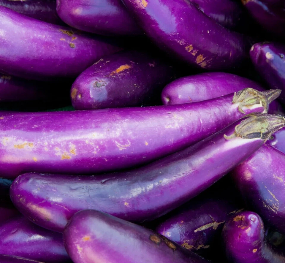 SEMILLAS LARGAS DE BERENJENA PÚRPURA 200+ HUERTO Solanum Melongena ENVÍO GRATUITO Foto 1 de 1