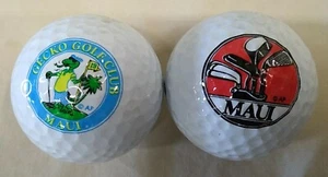 2 Gecko Golf Club Logo Golf Balls Maui Hawaii Pro USA - Picture 1 of 6