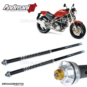 Cartuccia DUCATI MONSTER 900 1991-1995 ANDREANI 105/D38E MISANO EVO - Foto 1 di 5
