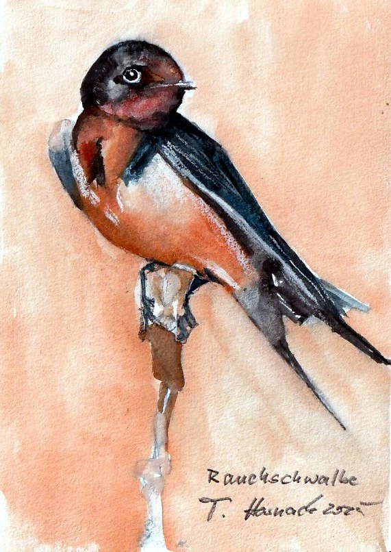 Original Aquarell A5 15x21 cm (5,8x8,3 inches) Lustige Tierportraits - Bild 1 von 1
