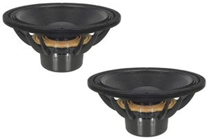 2x B&C 15SW100-8 15" Subwoofer Professionale al Neodimio 8 Ohm, Risposta 40-1500 Hz - Foto 1 di 8
