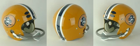PITT PANTHERS 1966-1967 Vintage Riddell TK Suspension Football Helmet Cover