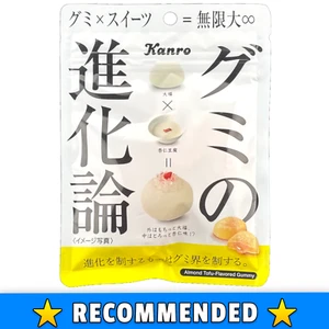 Mandel-Tofu gummiartig zart lecker LTD ED besonderes Geschenk Süßigkeiten aus Japan - Bild 1 von 4
