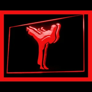 230066 Kung Fu Karate Frighting Taekwondo Display LED Light Neon Sign - Imagen 1 de 1