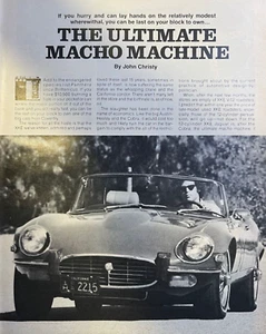 1974 British Panthera Automobile - Picture 1 of 2