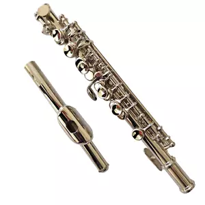 Corpo tubo metallo chiave Advanced Piccolo C nichelato legno misto bel suono - Foto 1 di 2