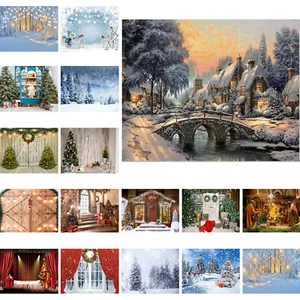 Winter Snow Scene Backdrop Retro Christmas Town Barn Background Studio Props - Picture 1 of 24