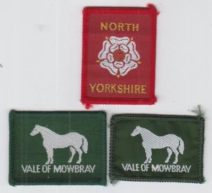 Pfadfinderabzeichen NORTH YORKSHIRE County + Ext VALE of MOWBRAY DISTRICT x 2 Größen - Bild 1 von 1