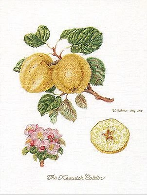 Kit punto de cruz Keswick manzana Thea Gouverneur 2057 lino Foto 1 de 2