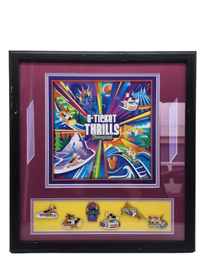 Juego de 6 prendedores enmarcados Disneyland boleto electrónico emociones Splash Mountain Space Dreamin' RARO Foto 1 de 4