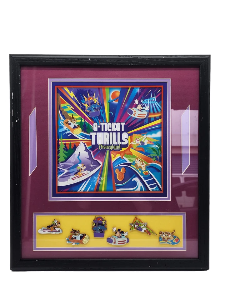 Juego de 6 prendedores enmarcados Disneyland boleto electrónico emociones Splash Mountain Space Dreamin' RARO Foto 1 de 4