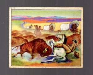Wild West Card # A-15 Bowman (1949-50) Buffalo Stampede - Picture 1 of 2