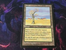 MTG Karoo ~ MTG Magic the Gathering (Visions)