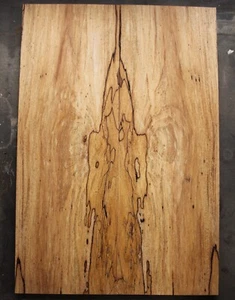 Curly Spalted Ink Line Maple Drop Top 0,37" THK Gitarre Bass Tonholz 2630 - Bild 1 von 9